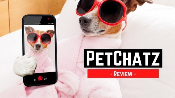 Petchatz HD Review