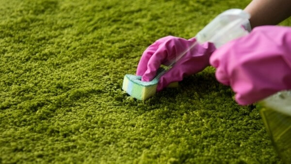 spraying dish soap on carpet